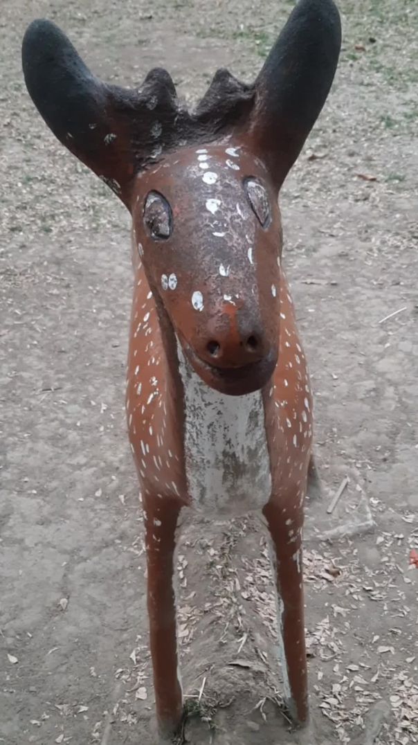 শিশু পার্ক