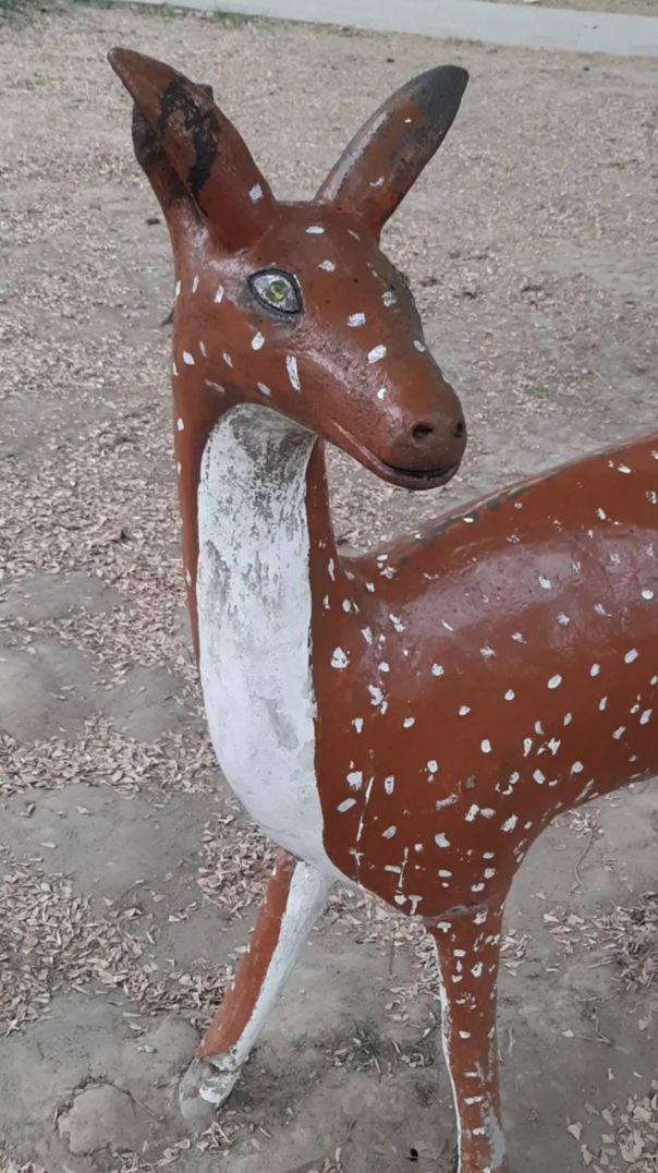 হরিণ