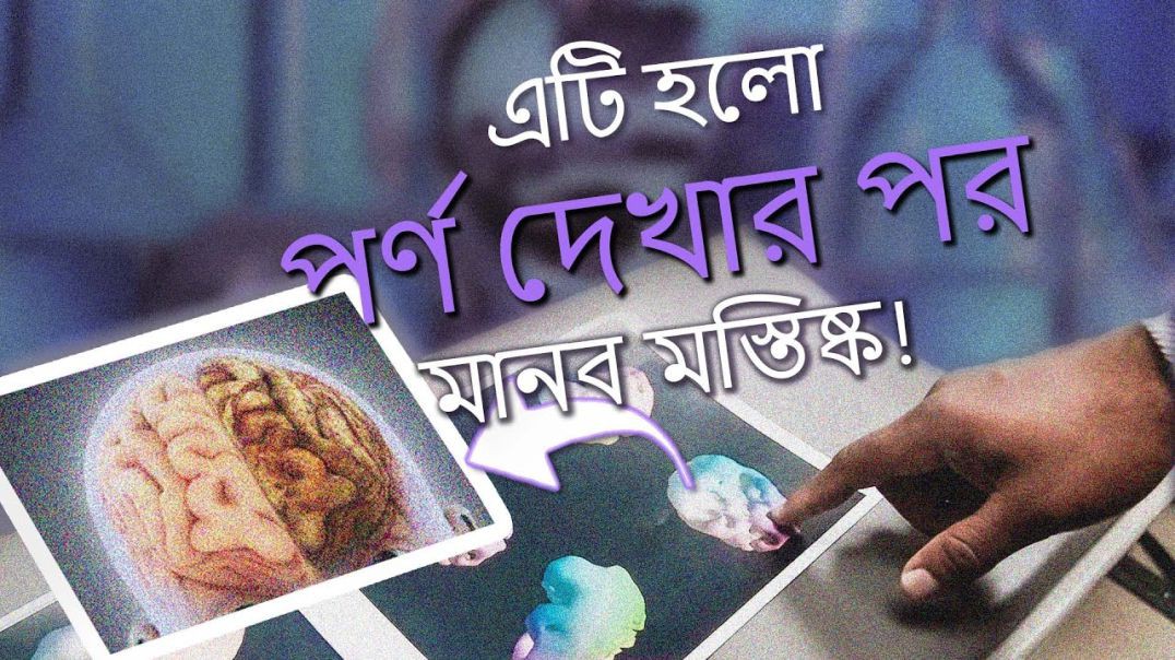 পর্ণগ্রাফি যেভাবে আপনার ভবিষ্যত জীবনের উপর প্রভাব ফেলে!  _@iamLucid