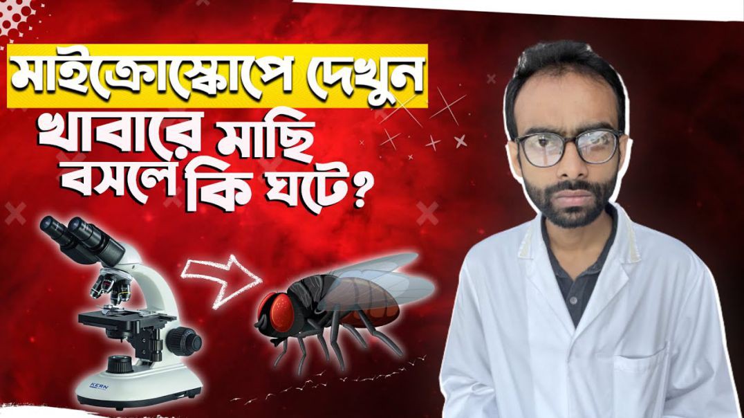 মাইক্রোস্কোপে- মাছির বিভিন্ন অংশ, খাবারে বসলে কি হয়