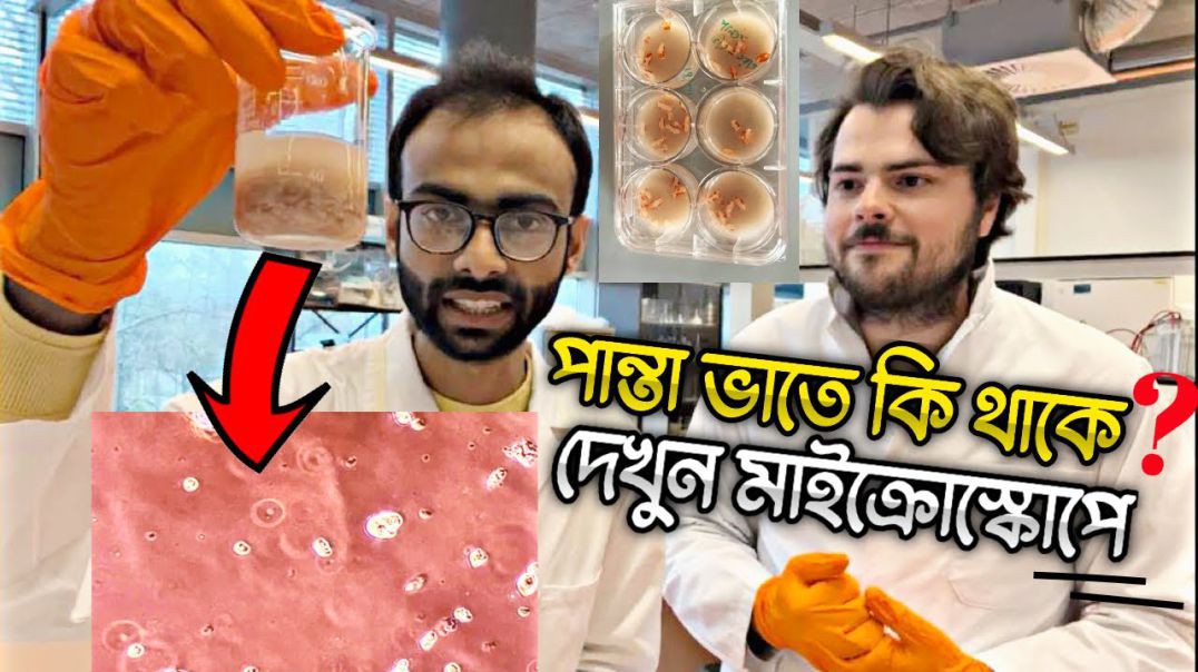 মাইক্রোস্কোপে ধরা পরল পান্তা ভাতের ব্যাকটেরিয়া  Sabbir Ahmed