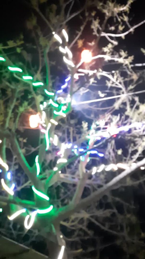 ঈদের আমেজ