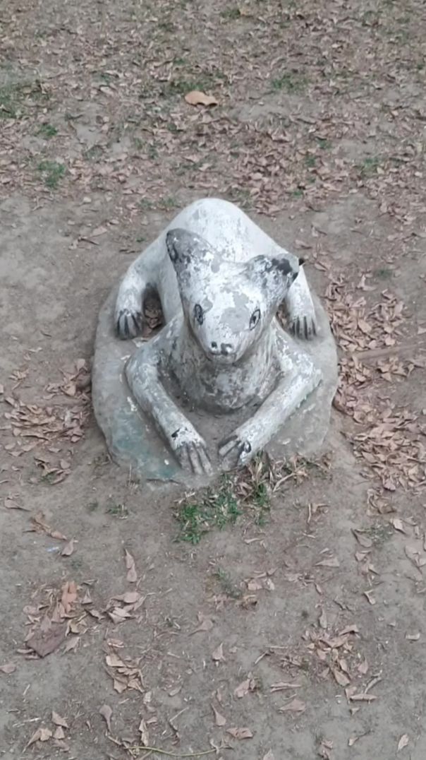 বিমান বাহিনী যাদুঘর