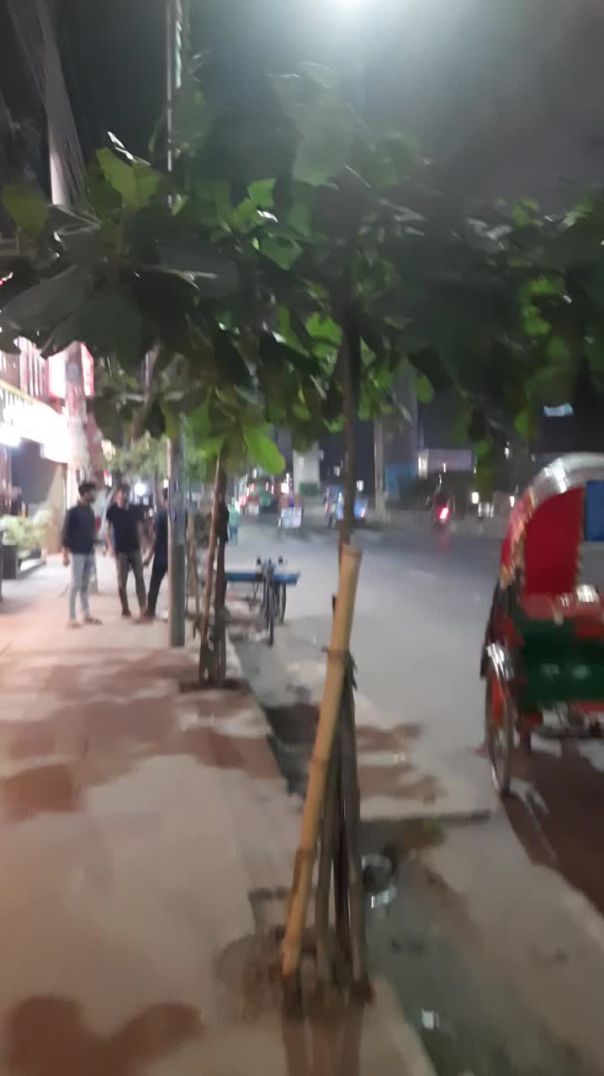 ঢাকায় রাস্তার ধারে বৃক্ষরোপন কর্মসূচি