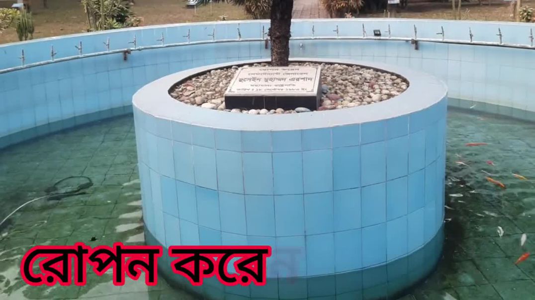 হুসেইন মুহাম্মদ এরশাদের ১৯৮৩ সালে রোপনকৃত গাছ ।  রংপুর সেনানিবাস  রংপুর ক্যান্টরমেন্ট