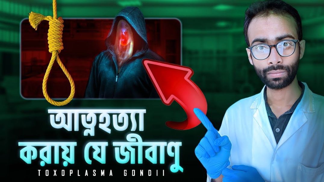 মানুষের শরীরে কিভাবে ঢুকে এই জীবাণু  Toxoplasma gondii  Sabbir Ahmed