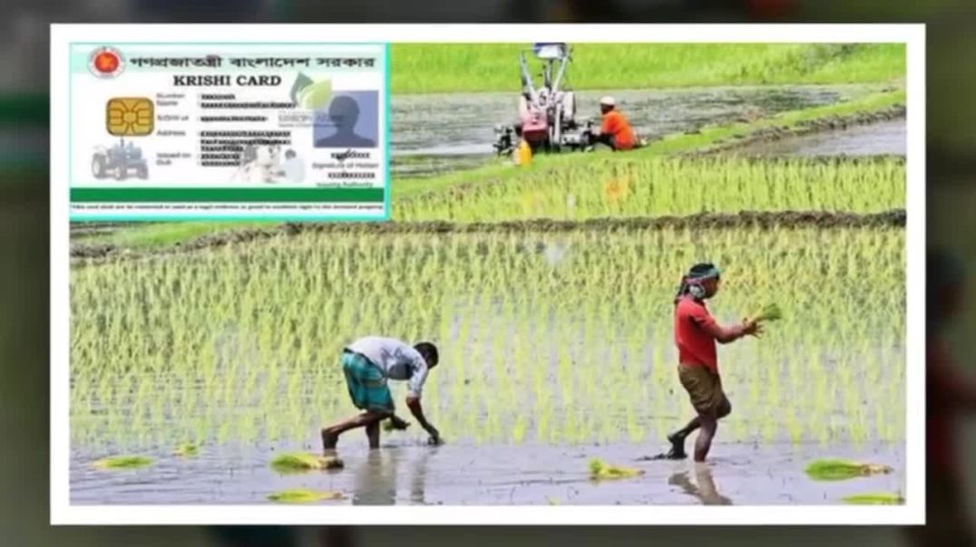 কৃষক কার্ড"-এর মাধ্যমে কৃষিতে স্বচ্ছতা ও দালালমুক্ত সুবিধা নিশ্চিত হবে: তারেক রহমান