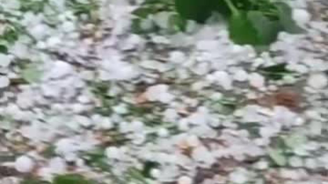 VID-20250428-WA0009