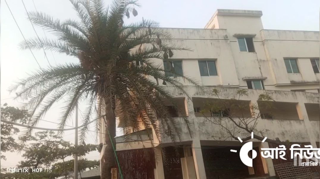 ⁣বিরল সৌন্দর্যের সাক্ষী—বাবুই পাখির শিল্পকর্ম!