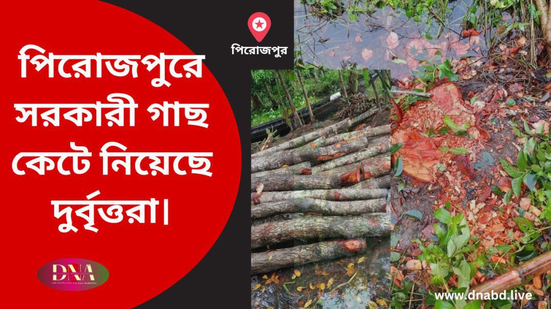 পিরোজপুরে সরকারী গাছ কেটে নিয়েছে দুর্বৃত্তরা। - Made with Clipchamp