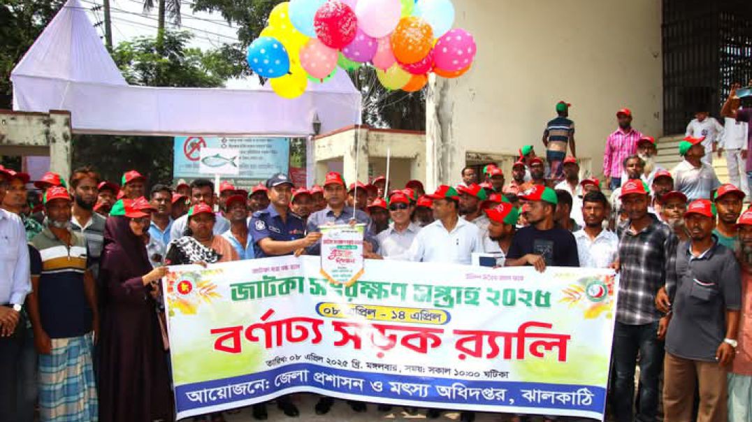 জাটকা সংরক্ষণ সপ্তাহ র‍্যালি পালন।