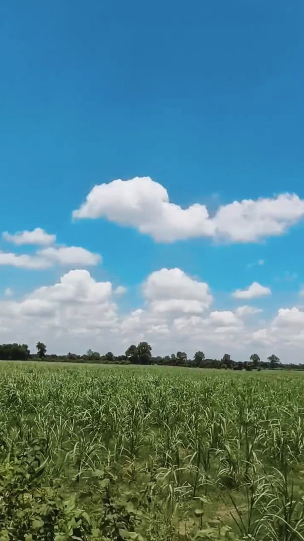 বড়াইগ্রামের আকাশে মেঘের ভেলা