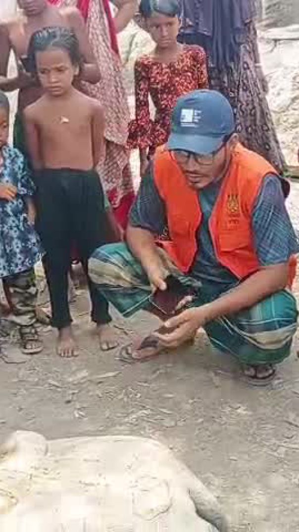 নদীতে জেলের জালে ধরা পড়ল বিরল প্রজাতির কাছিম
