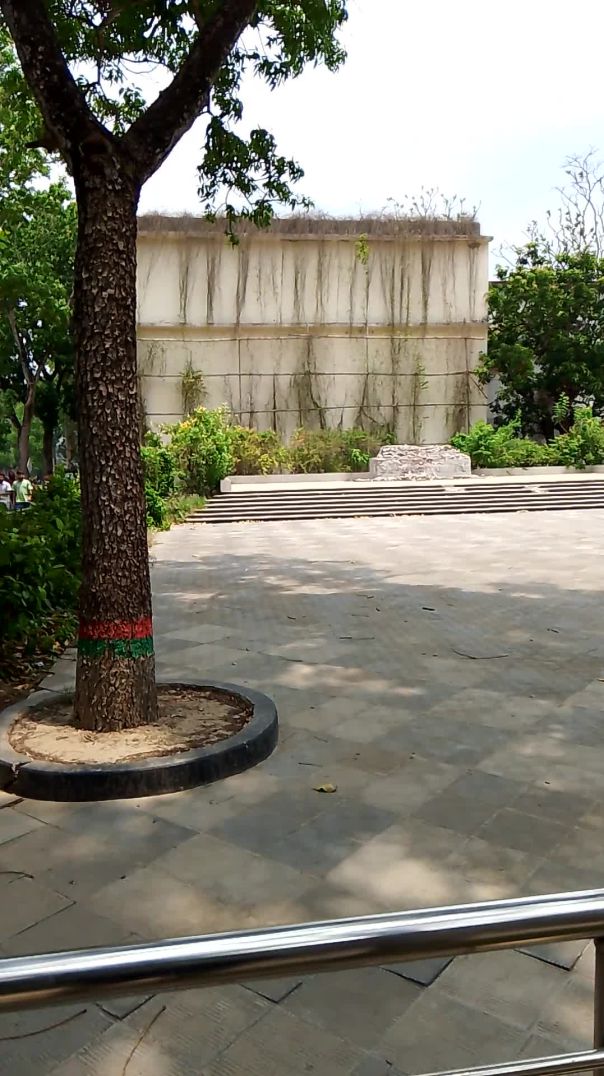VID_20250424_121344