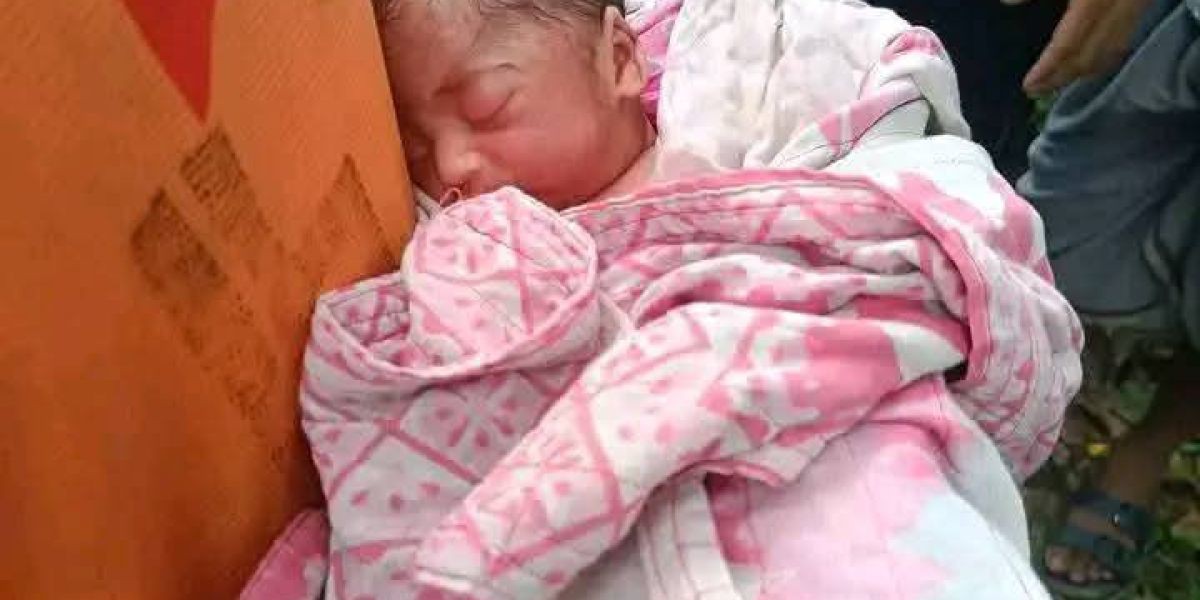 ১৩ নম্বর ইউনিয়নের পূর্ব মায়ানীতে নবজাতক শিশুর সন্ধান, স্থানীয় দোকানদারের আশ্রয়ে..