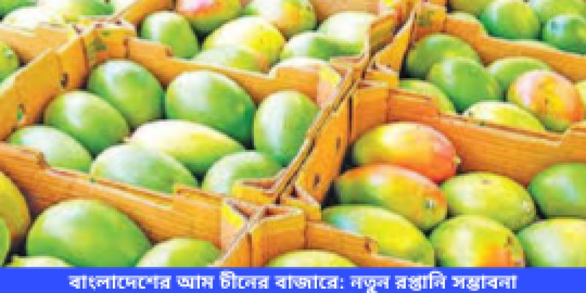 নাচোলের অসম্পূর্ণ সড়ক: দুর্ভোগে এলাকাবাসী