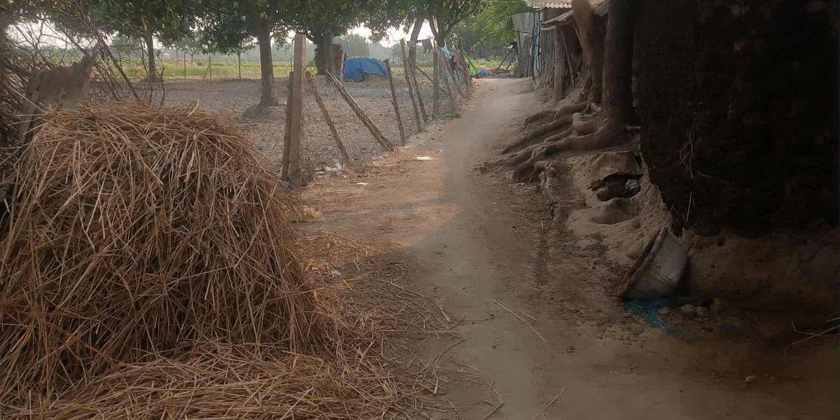 মুর্শিদা মোড়- নাচোল ইউনিয়ন পরিষদ  সড়কে পাকা-কাঁচা দুর্ভোগে গ্রামীণদের অনিশ্চিতি......