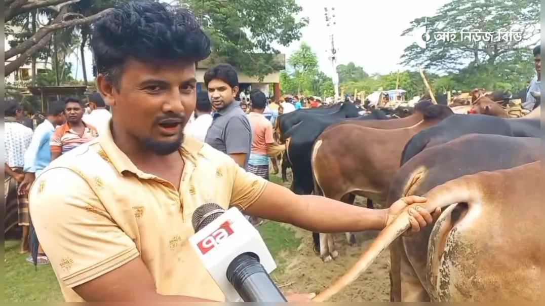 ⁣ডিপজল ভাইয়ের বড় হাট গরু বিক্রি করব খাজনা ছাড়া যদি বেশি তেরিবেরি করে সানডে মানডে ক্লোজ কইরা দিমু