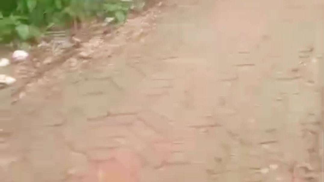 ব্যক্তিগত কাজে লাগানো হচ্ছে সরকারি রাস্তার ইট