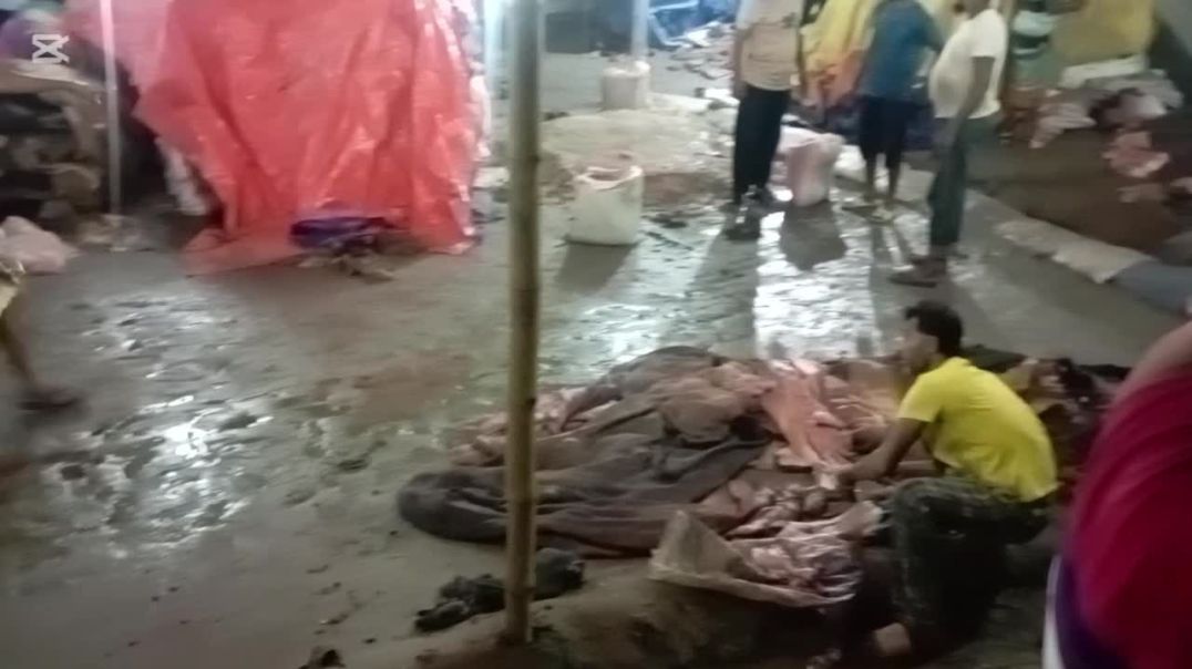 ⁣কাচা চামড়া সংগ্রহে ব্যস্ত সময় পার করছে ব্যবসায়ীরা
