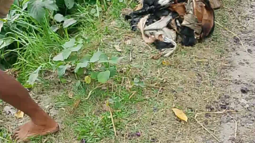 দূর্ঘটনা, রাজারহাট কুড়িগ্রাম