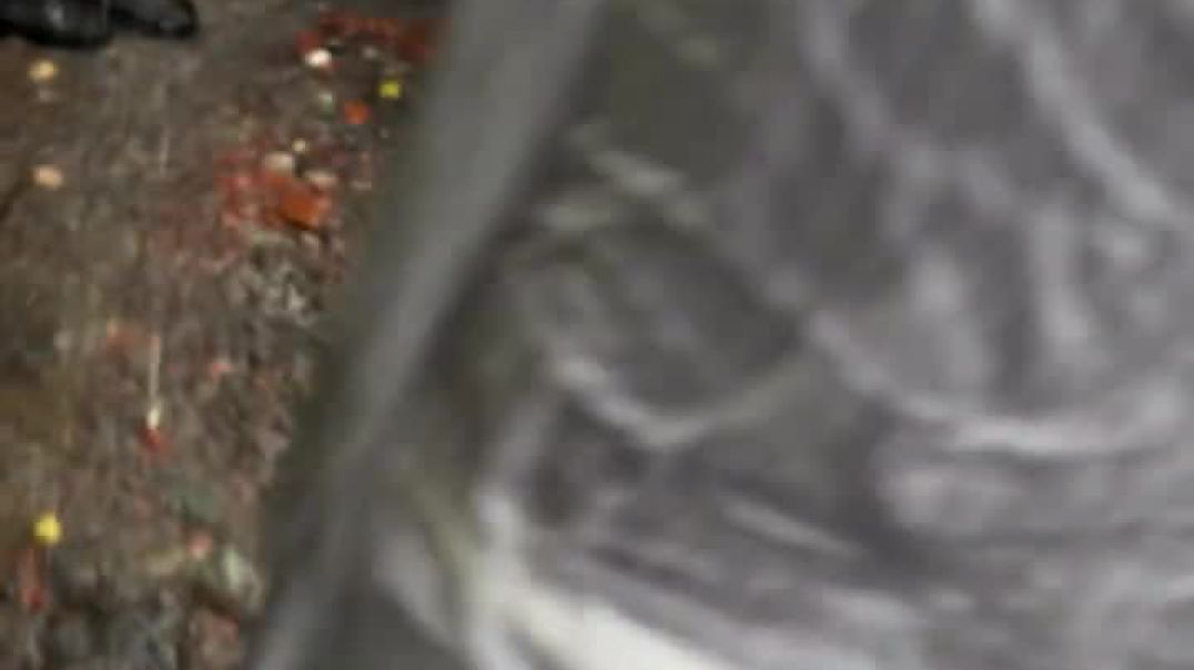 বৃষ্টিতে ভিজে মোহাম্মদপুরে ডাঃ তাসনিম জারা