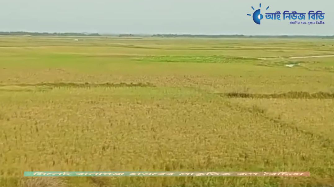 সিলেটের বালাগঞ্জ হাওর বাংলাদেশের প্রাকৃতিক সৌন্দর্যের অন্যতম রত্ন, যা প্রকৃতিপ্রেমীদের মন কাড়ে