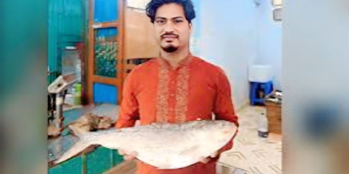 ইলিশের বাড়ি চাঁদপুরে এক ইলিশের মূল্য ১৩ হাজার