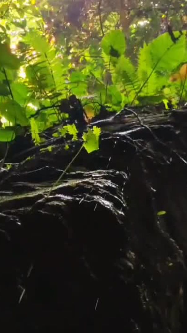 মেলখুম গিরিপথ