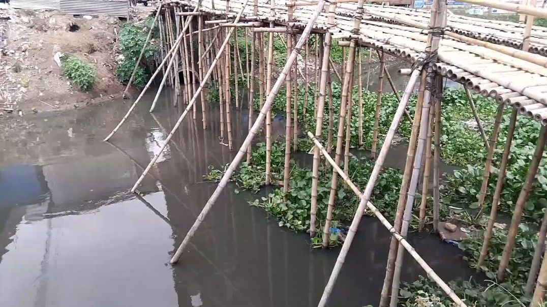কাঠ ও বাঁশ দিয়ে নির্মিত দুই লেনের সেতু!