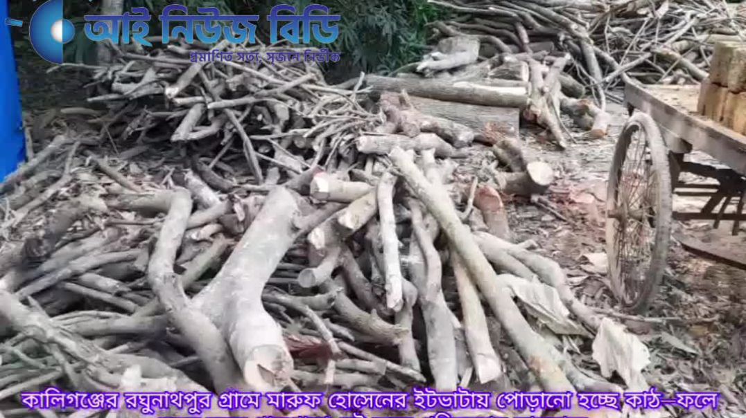 সাতক্ষীরার কালিগঞ্জে আইন লঙ্ঘন করে প্রকাশ্যে অবৈধভাবে ইট পোড়ানোর অভিযোগ