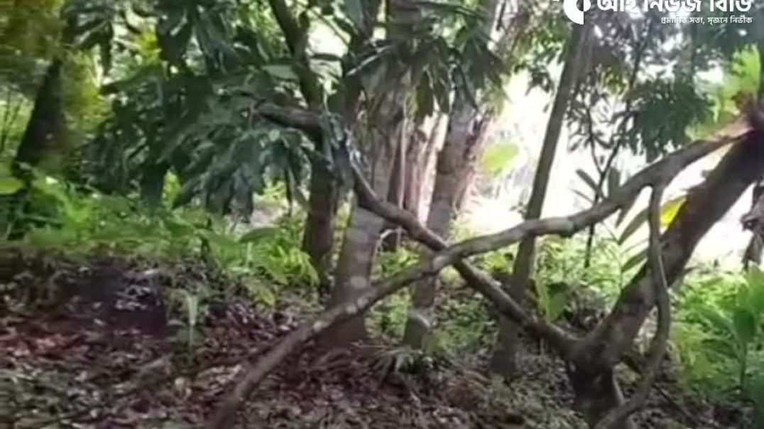 পৈত্রিক সম্পত্তি দখলের চেষ্টায় নারীর শ্লীলতাহানি: থানায় অভিযোগ
