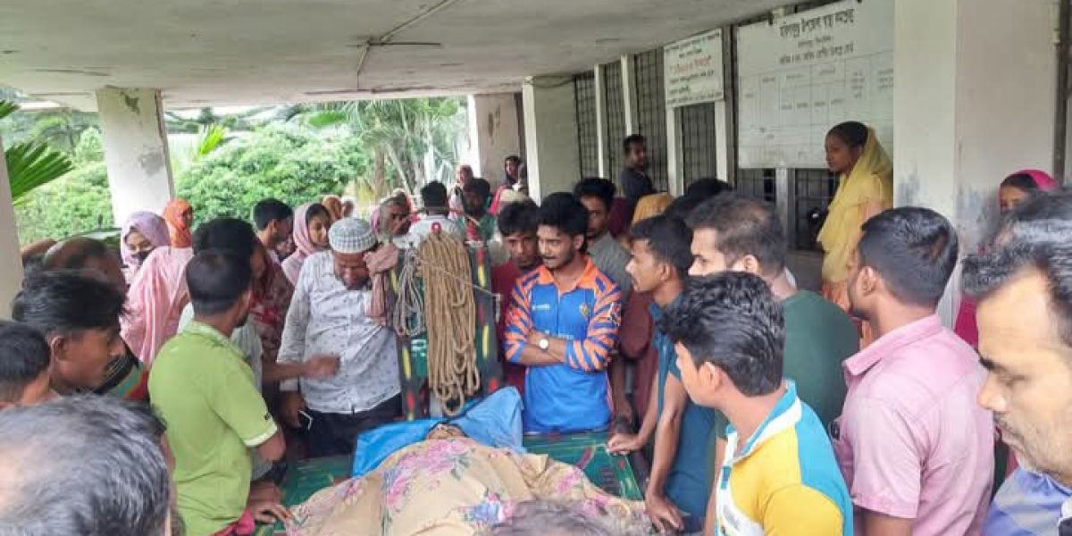 ঝিনাইদহে স্যালোইঞ্জিন চালিত গাড়ির ধাক্কায় ১ যুবক নিহত