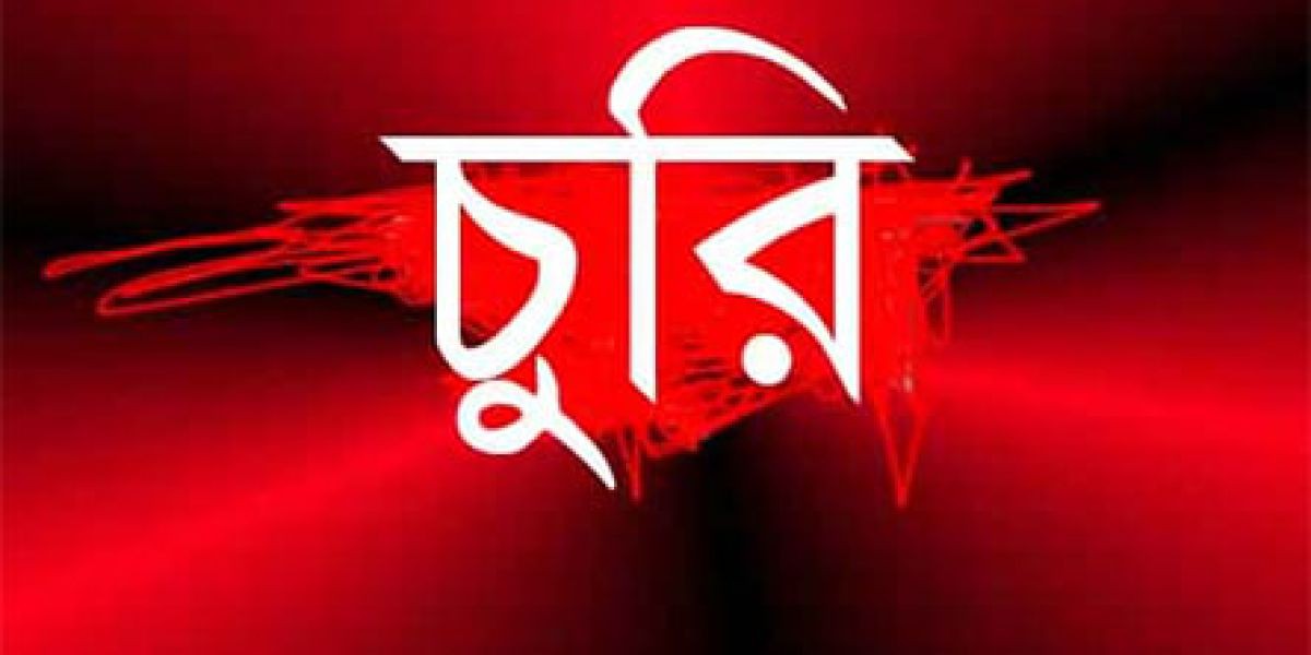 বগুড়ায় সাংবাদিকের মোবাইল চুরি, রাষ্ট্রিয় নথি বেহাতের শঙ্কা..