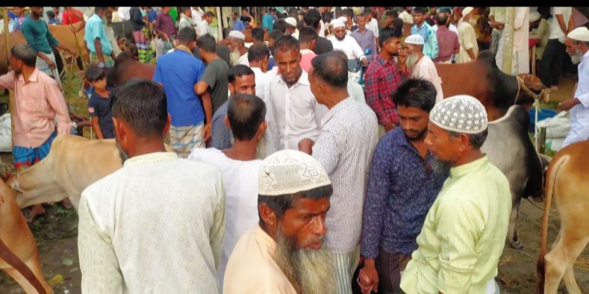 নেত্রকোনার মৌদাম বাজারে জমজমাট কুরবানির পশুর হাট