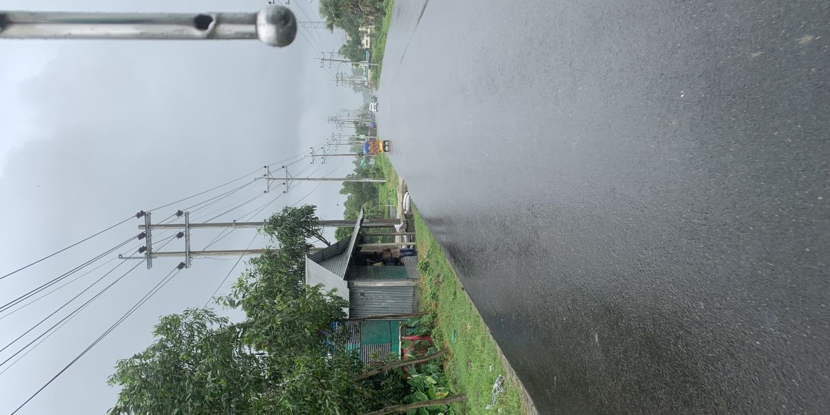 উষ্ণতা নেই