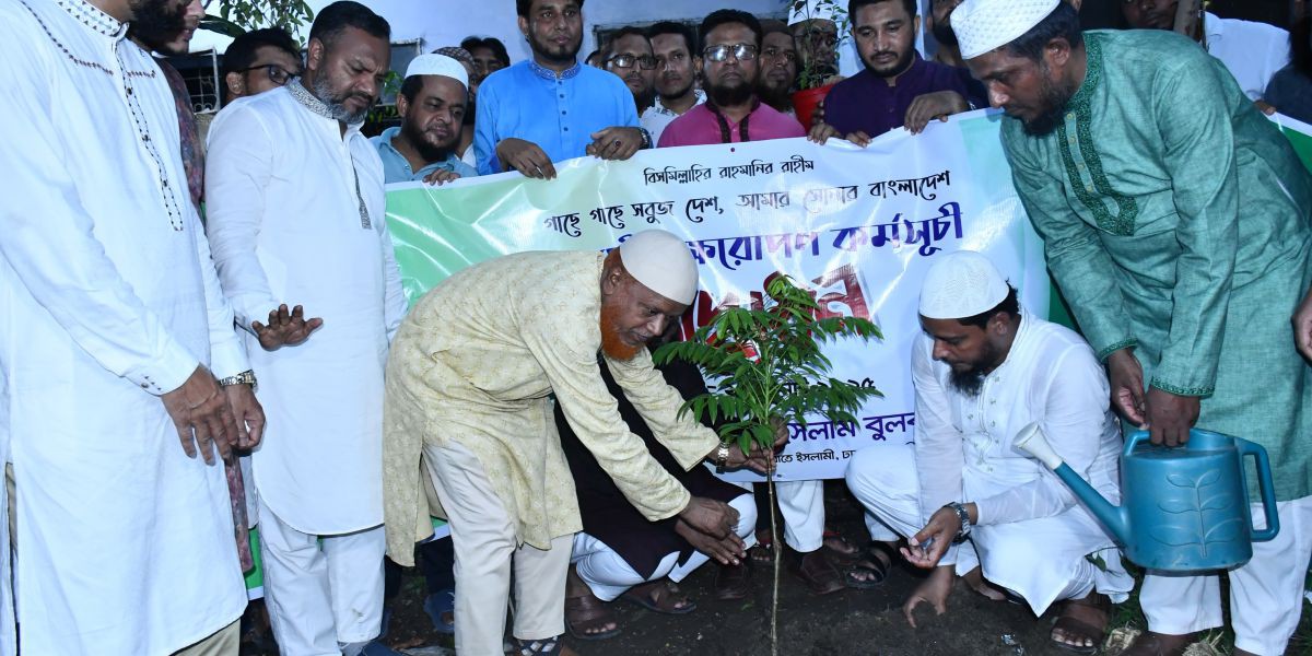 রাজধানীতে ১০ লাখ গাছ রোপণ করবে জামায়াতে ইসলামী - মো. নূরুল ইসলাম বুলবুল..