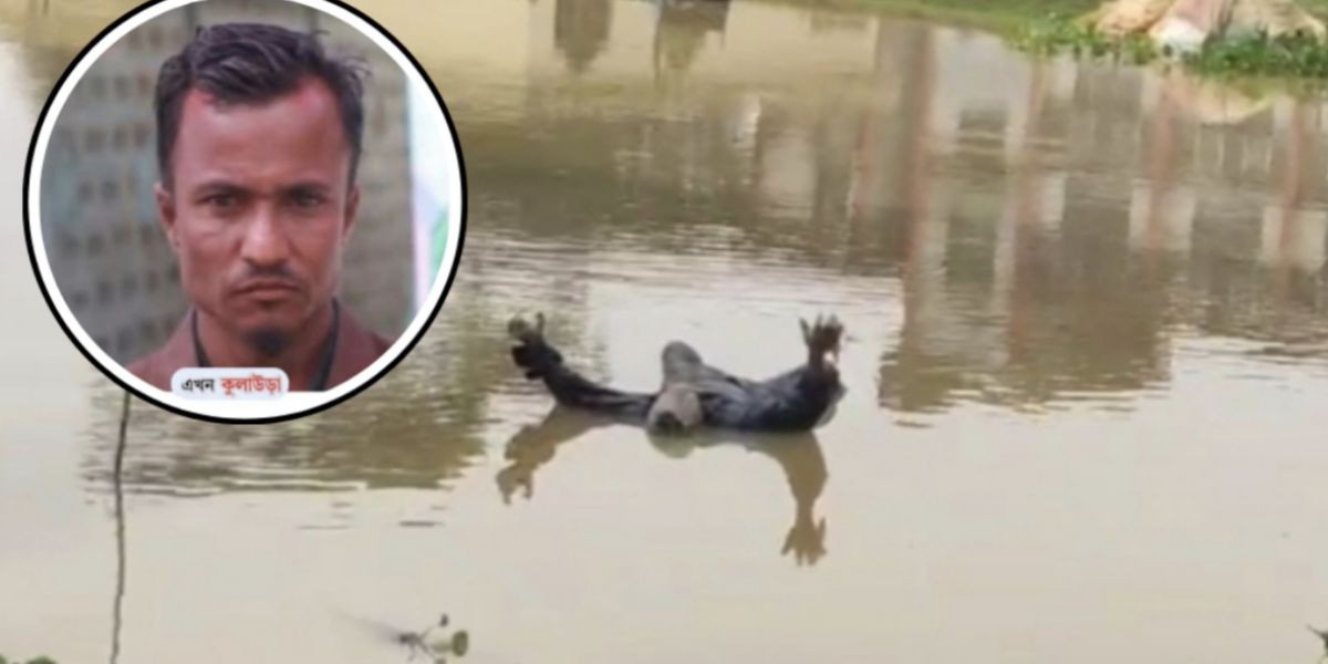 হাওরে গরু খুঁজতে গিয়ে নিখোঁজ হওয়া যুবকের লা°শ মিললো দুই দিন পর..