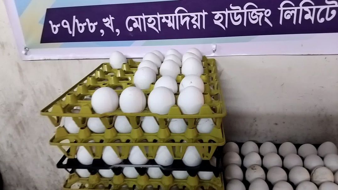 রাজধানীতে পানির দরে ডিম বিক্রি!