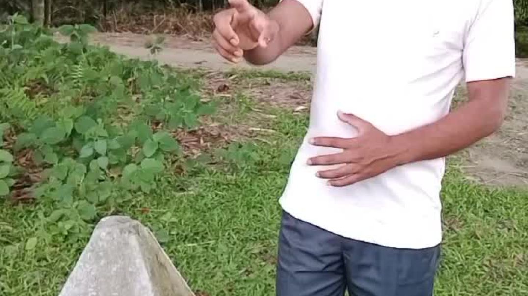 তারকাটা বিহীন বর্ডার | দুপাশে দুই দেশ