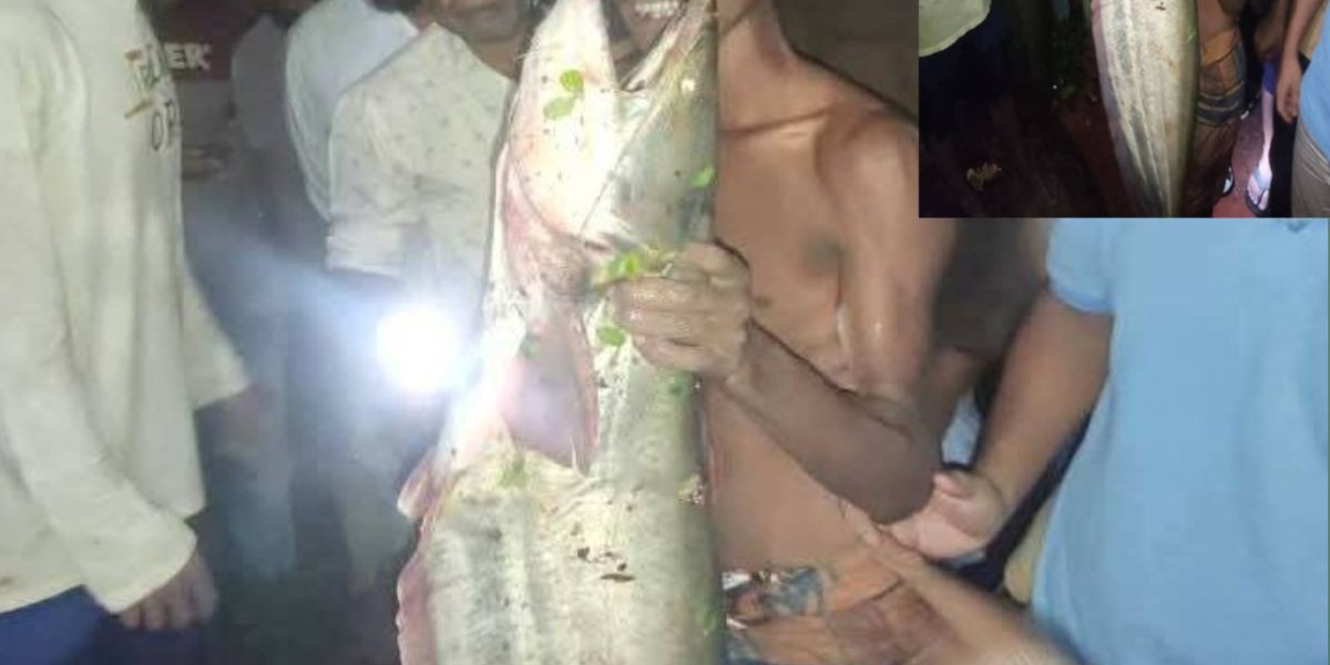চট্টগ্রামের রাঙ্গুনিয়ায় ধরা পড়লো বিশাল বোয়াল