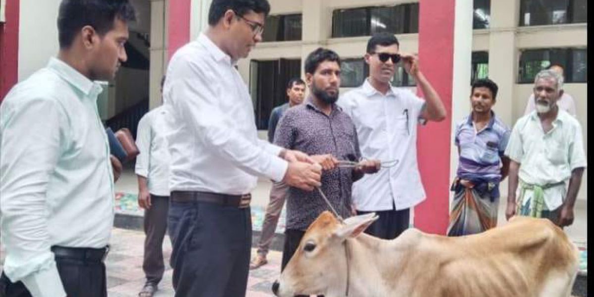 ২৩ বছর কারাভোগ করা মাজেতকে গরু উপহার  দিলেন পঞ্চগড়ের জেলা প্রশাসক ..