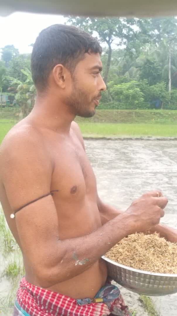 বীজতলা তৈরিতে ব্যস্ত সময় পার করছেন কৃষকরা