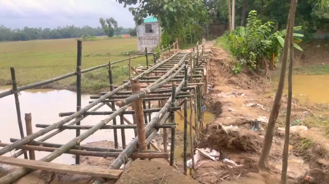 ফেনীতে বাঁধ ভাঙা, রাস্তা গায়েব—সাঁকো বানিয়ে চলছেন মানুষ ‎