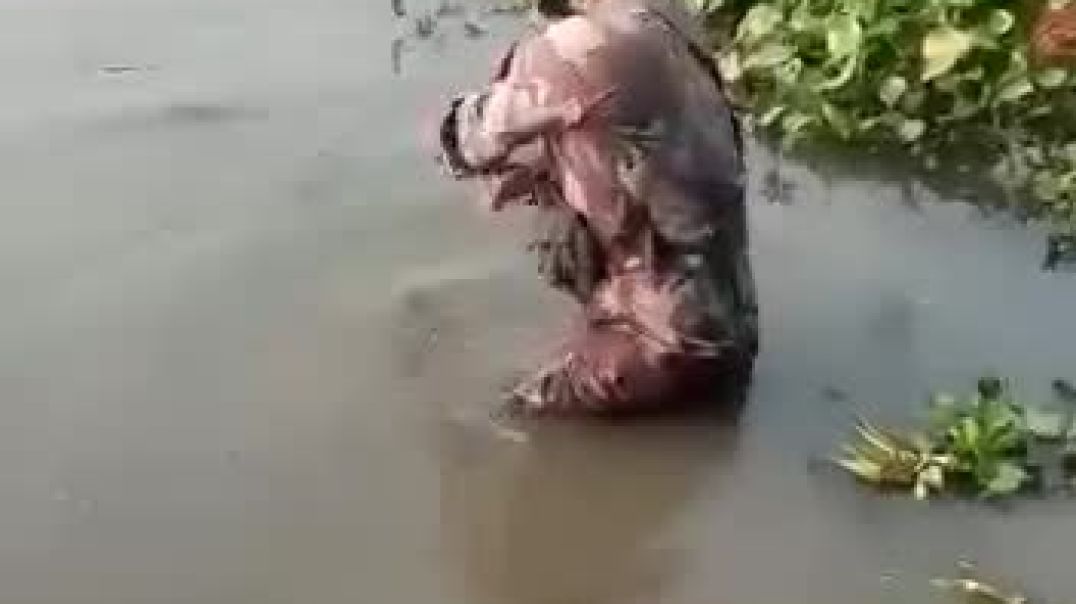 SocialVideo_1751639143168