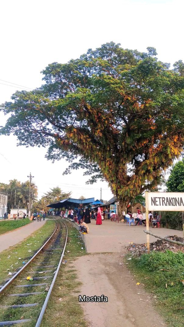 Train Netrakona