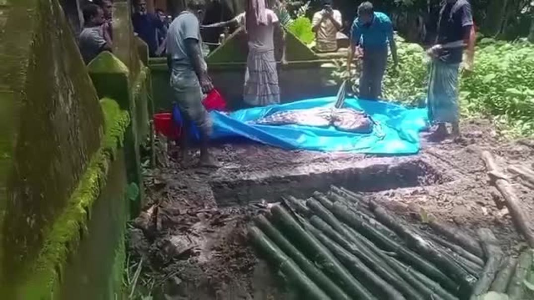 বাকেরগঞ্জে আদালতের নির্দেশে কবর থেকে শিশু রিফাতের মরদেহ উত্তোলন
