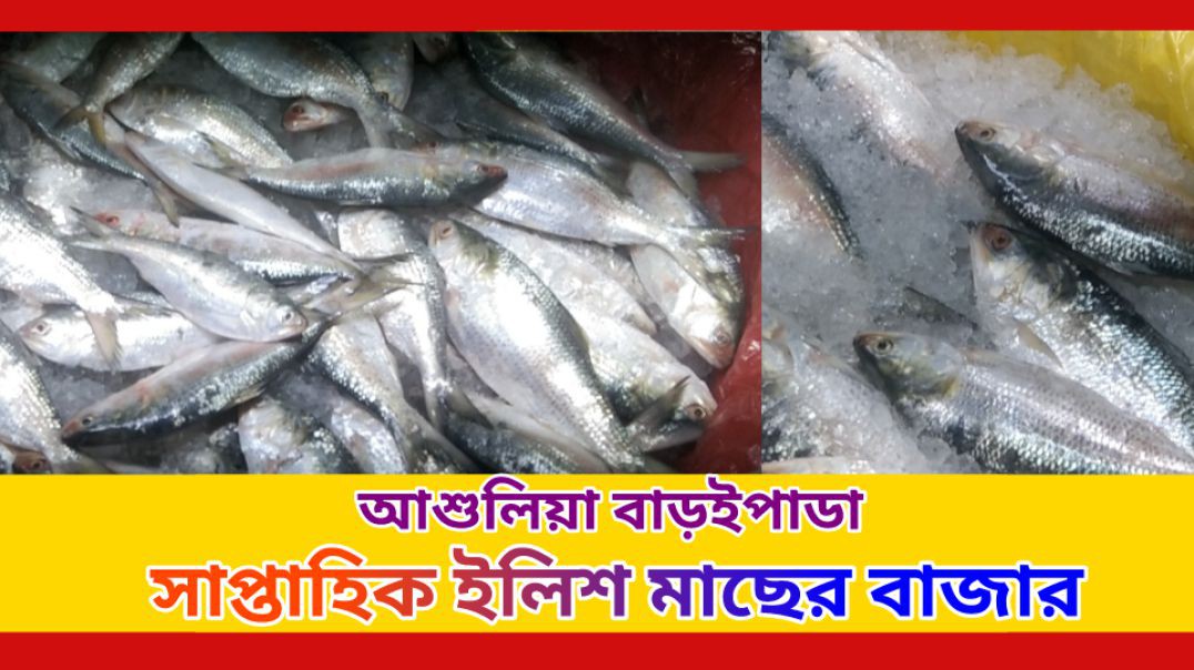 আশুলিয়া ইলিশের বাজার পরিস্থিতি #আই_নিউজ_বিডি