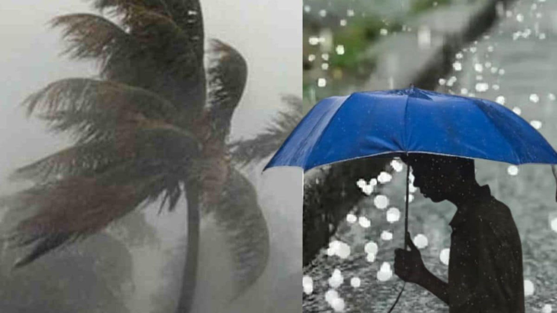 ⁣আজ যশোর অভয়নগরে প্রচুর বৃষ্টি.....