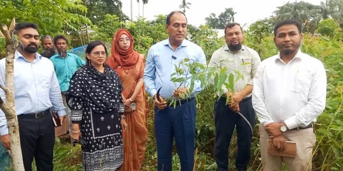 নেত্রকোনা সীমান্তে ক্ষতিকারক ২০ হাজারের বেশি চারা গাছ ধ্বংস করেছে প্রশাসন..